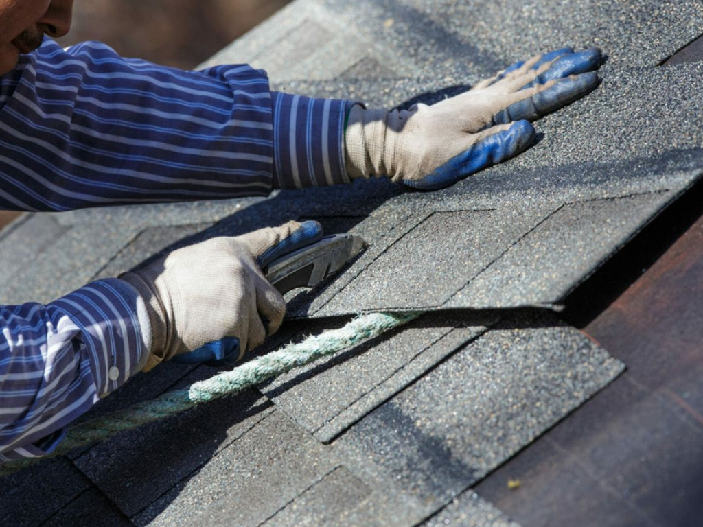 Shingle Roofing